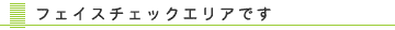 �t�F�C�X�`�F�b�N�G���A�ł�