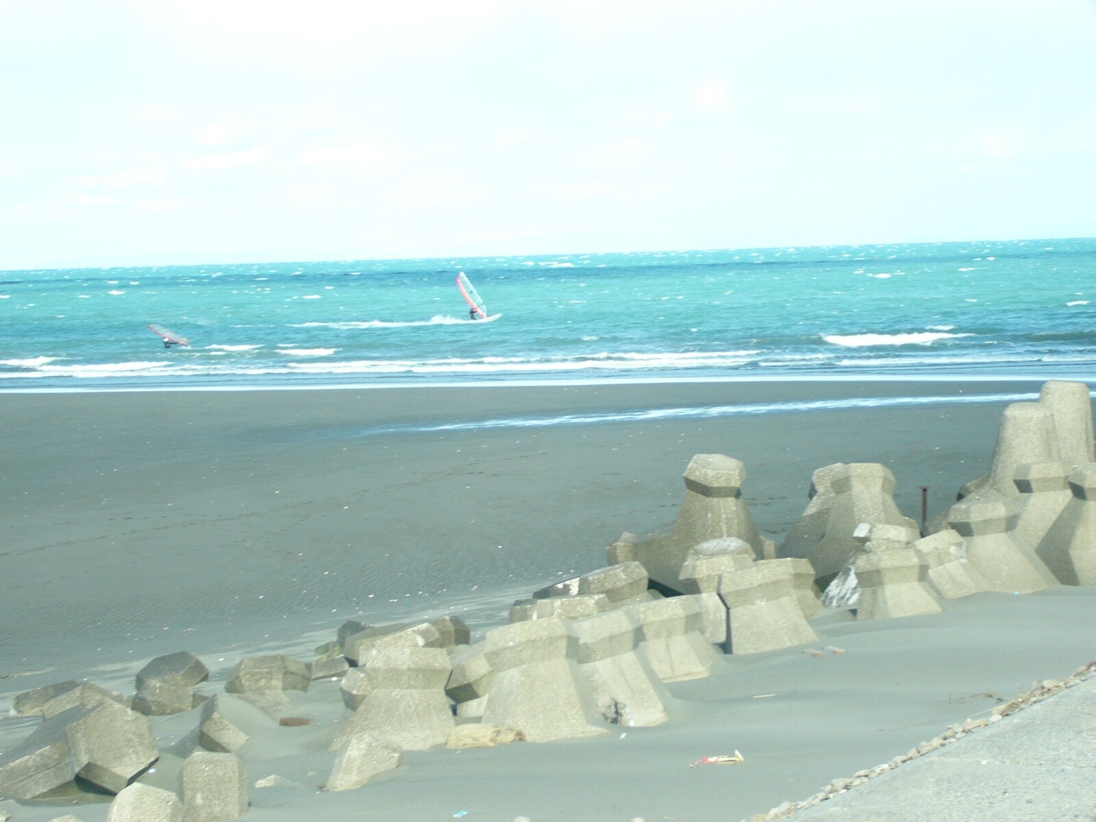 P1000397.jpg